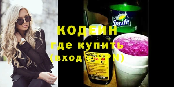 ГАЛЛЮЦИНОГЕННЫЕ ГРИБЫ Инсар