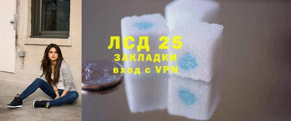 ГАЛЛЮЦИНОГЕННЫЕ ГРИБЫ Инсар