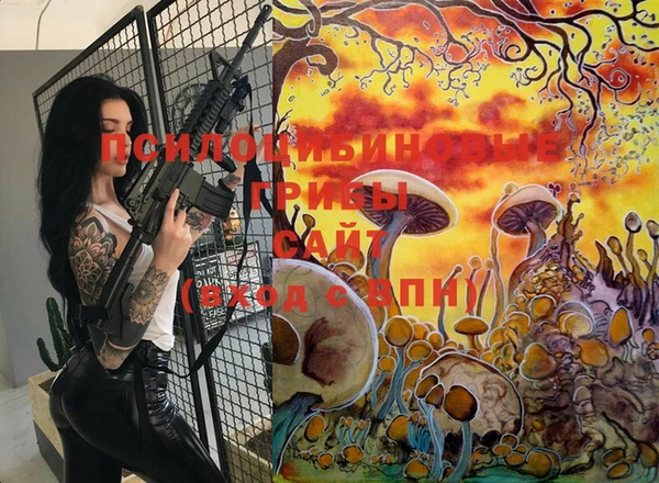 ГАЛЛЮЦИНОГЕННЫЕ ГРИБЫ Инсар