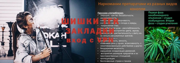 молекула духа Иннополис